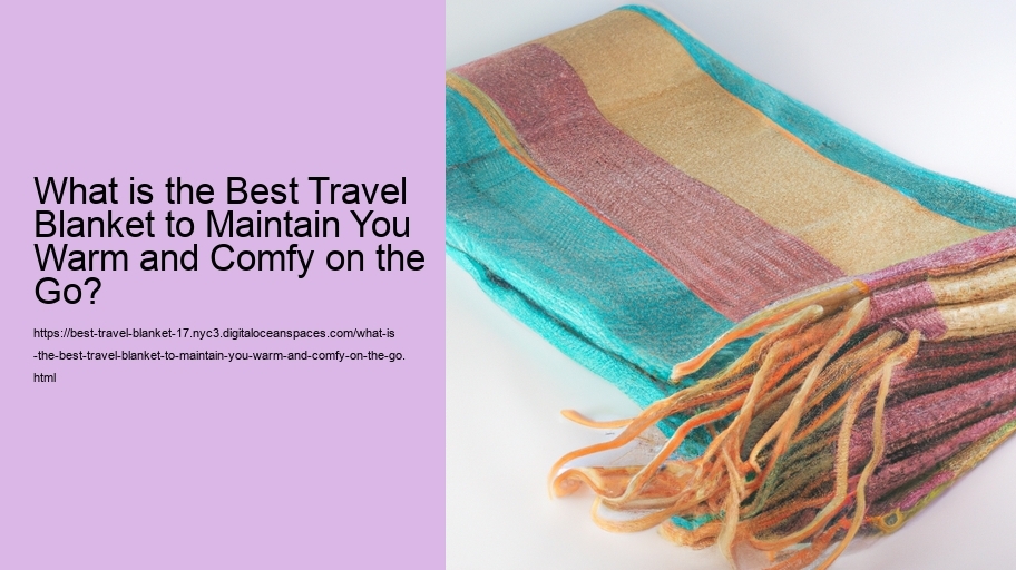 What is the Best Travel Blanket to Maintain You Warm and Comfy on the Go?