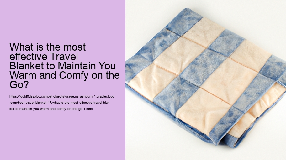 What is the most effective Travel Blanket to Maintain You Warm and Comfy on the Go?