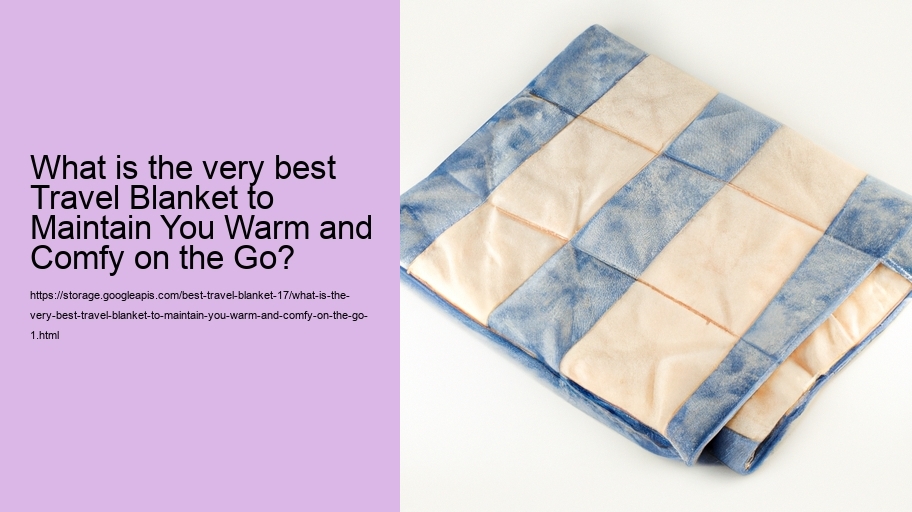 What is the very best Travel Blanket to Maintain You Warm and Comfy on the Go?