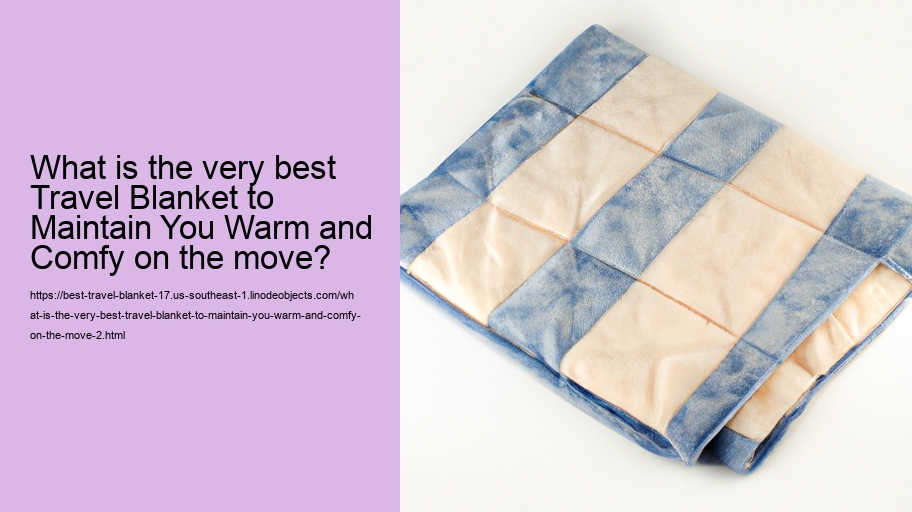 What is the very best Travel Blanket to Maintain You Warm and Comfy on the move?
