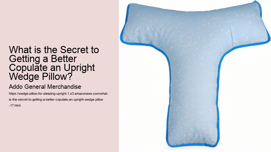 What is the Secret to Getting a Better Copulate an Upright Wedge Pillow?