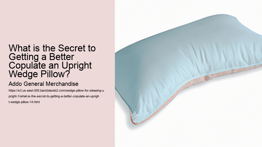 What is the Secret to Getting a Better Copulate an Upright Wedge Pillow?