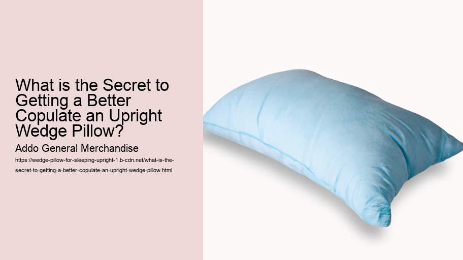 What is the Secret to Getting a Better Copulate an Upright Wedge Pillow?